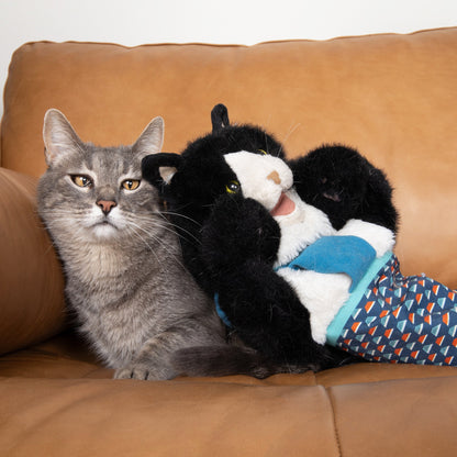 Cat Wrestling Glove