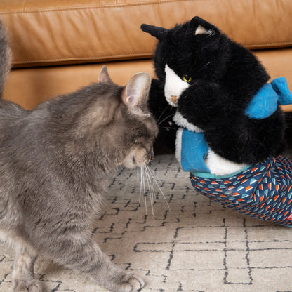 Cat Wrestling Glove
