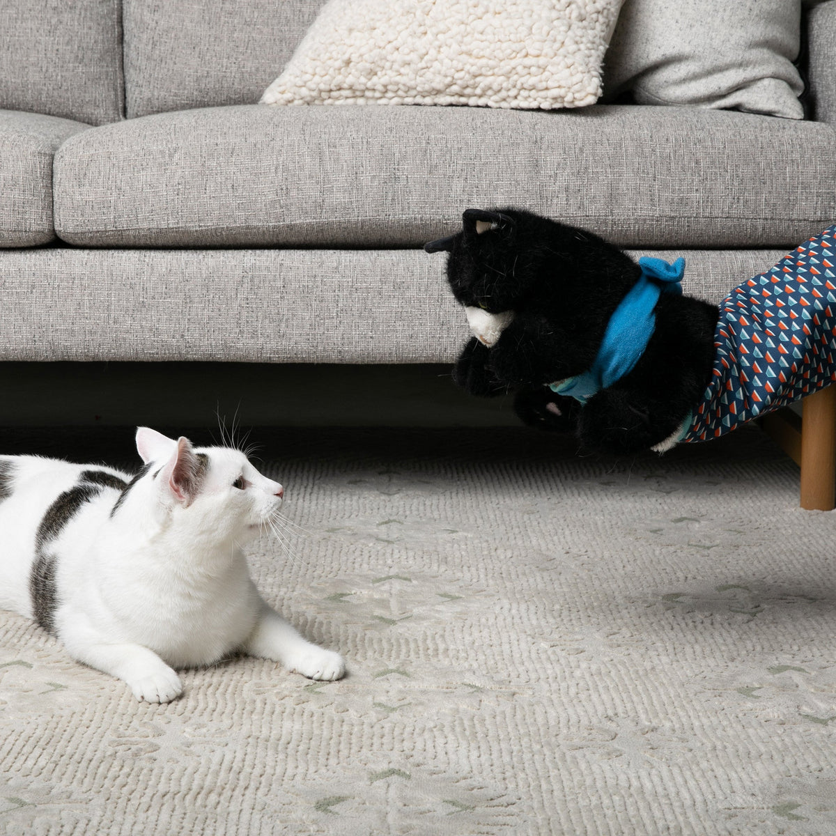 Cat Wrestling Glove